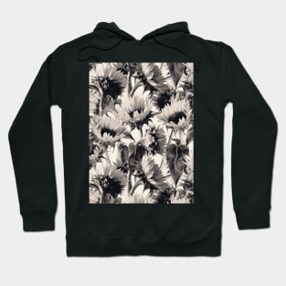 Sunflowers in Soft Sepia Hoodie